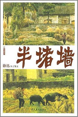 半堵墙 pdf epub mobi 电子书 下载