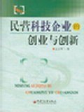 民营科技企业的创业与创新 pdf epub mobi 下载