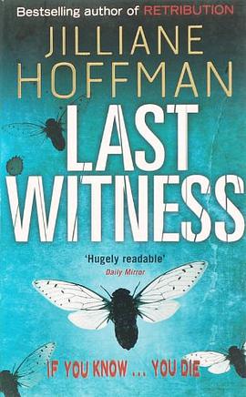 Last Witness 最后的见证 pdf epub mobi 下载