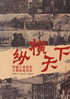 纵横天下 pdf epub mobi 电子书 下载