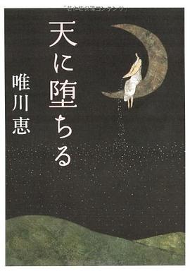 天に堕ちる pdf epub mobi 电子书 下载