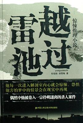 越过雷池 pdf epub mobi 电子书 下载