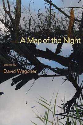 A Map of the Night pdf epub mobi 电子书 下载