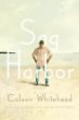 Sag Harbor pdf epub mobi 电子书 下载