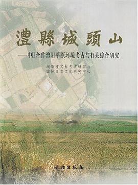 澧县城头山-中日合作澧阳平原环境考古与有关综合研究 pdf epub mobi 电子书 下载