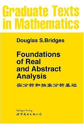 实分析和抽象分析基础 pdf epub mobi 电子书 下载