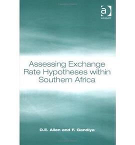 ASSESSING EXCHANGE RATE HYPOTHESES pdf epub mobi 電子書 下載