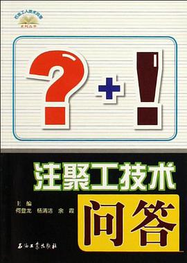 注聚工技术问答 pdf epub mobi 电子书 下载