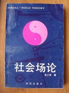 社会场论 pdf epub mobi 电子书 下载