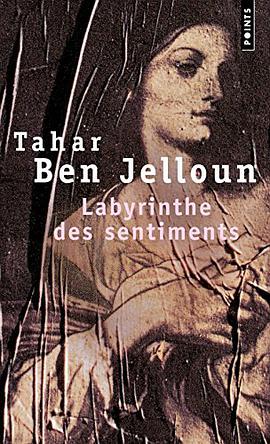 Le Labyrinthe des sentiments pdf epub mobi 电子书 下载