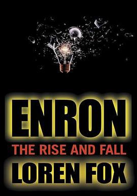 Enron pdf epub mobi 电子书 下载