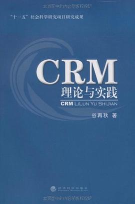 CRM理论与实践 pdf epub mobi 下载