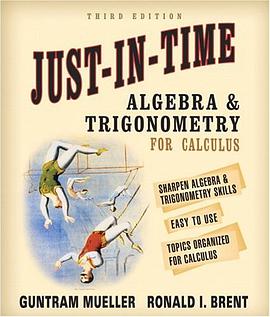 Just-in-Time Algebra and Trigonometry for Students of Calculus pdf epub mobi 电子书 下载