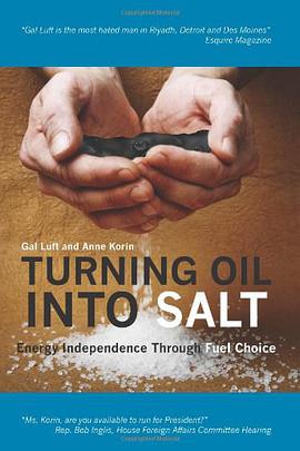 Turning Oil Into Salt pdf epub mobi 电子书 下载