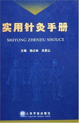 实用针灸手册 pdf epub mobi 电子书 下载