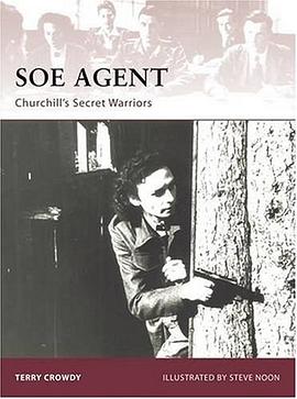 SOE Agent pdf epub mobi 电子书 下载