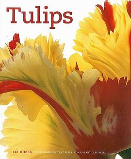 Tulips pdf epub mobi 电子书 下载