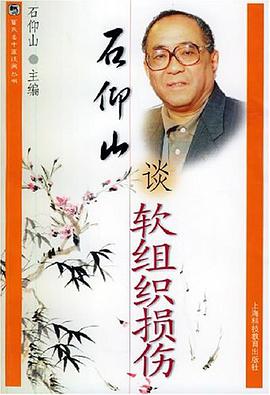石仰山谈软组织损伤 pdf epub mobi 电子书 下载