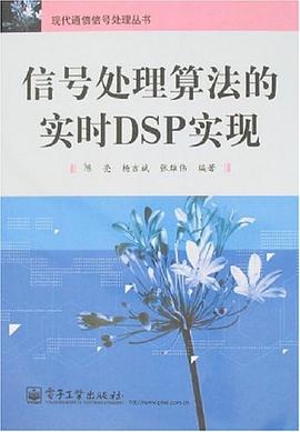 信号处理算法的实时DSP实现 pdf epub mobi 电子书 下载