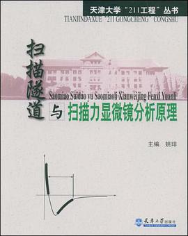 扫描隧道与扫描力显微镜分析原理 pdf epub mobi 电子书 下载