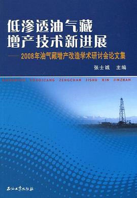 低滲透油氣藏增産技術新進展 pdf epub mobi 電子書 下載
