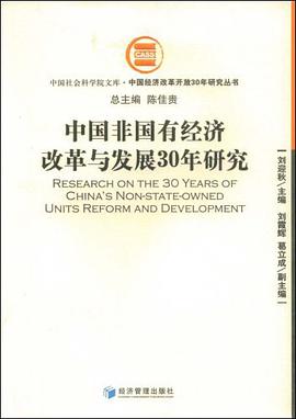 中国非国有经济改革与发展30年研究 pdf epub mobi 电子书 下载