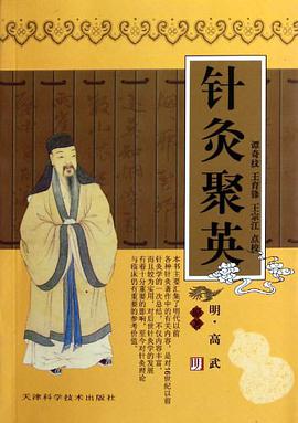 针灸聚英 pdf epub mobi 电子书 下载