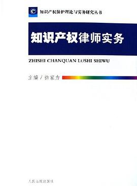知识产权律师实务 pdf epub mobi 电子书 下载