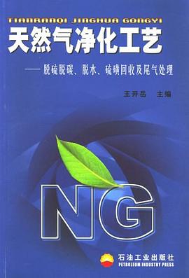 天然气净化工艺 pdf epub mobi 电子书 下载