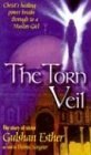 Torn Veil pdf epub mobi 电子书 下载