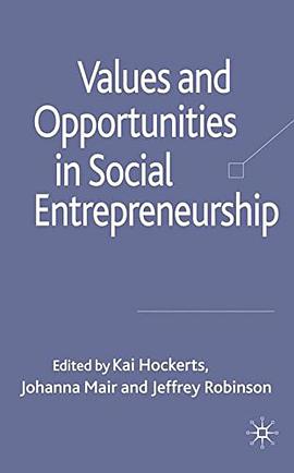 Values and Opportunities in Social Entrepreneurship pdf epub mobi 电子书 下载
