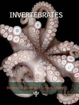 Invertebrates pdf epub mobi 电子书 下载