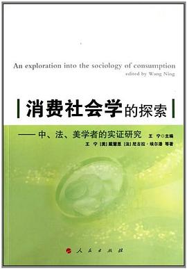 消費社會學的探索 pdf epub mobi 電子書 下載