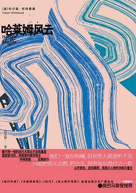 哈莱姆风云 pdf epub mobi 电子书 下载