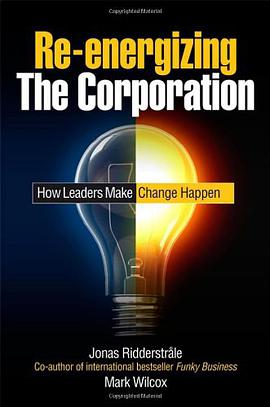 Re-energizing the Corporation pdf epub mobi 电子书 下载