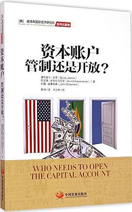 资本账户 pdf epub mobi 电子书 下载