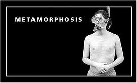 Metamorphosis pdf epub mobi 电子书 下载