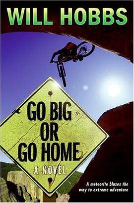 Go Big or Go Home pdf epub mobi 电子书 下载
