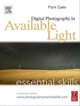 Digital Photography in Available Light pdf epub mobi 电子书 下载
