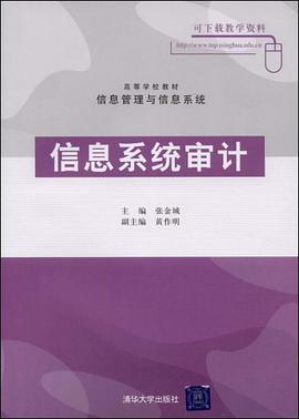 信息系统审计 pdf epub mobi 电子书 下载