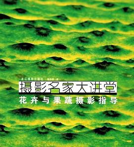摄影名家大讲堂 pdf epub mobi 电子书 下载