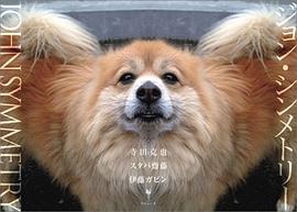 ジョン・シンメトリー pdf epub mobi 电子书 下载