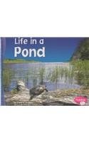 Life in a Pond pdf epub mobi 电子书 下载