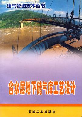 含水层地下储气库工艺设计