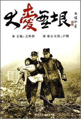 大爱无垠 pdf epub mobi 电子书 下载
