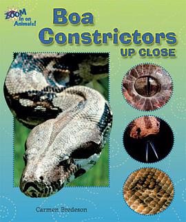 Boa Constrictors Up Close