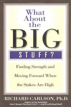 WHAT ABOUT THE BIG STUFF? pdf epub mobi 下载