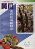 黄瓜高产栽培新技术 pdf epub mobi 电子书 下载