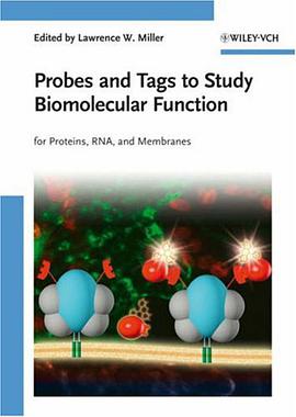 Probes and Tags to Study Biomolecular Function pdf epub mobi 电子书 下载