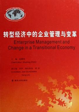 转型经济中的企业管理与变革 pdf epub mobi 下载